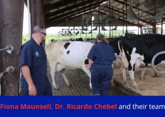 Veterinary Department